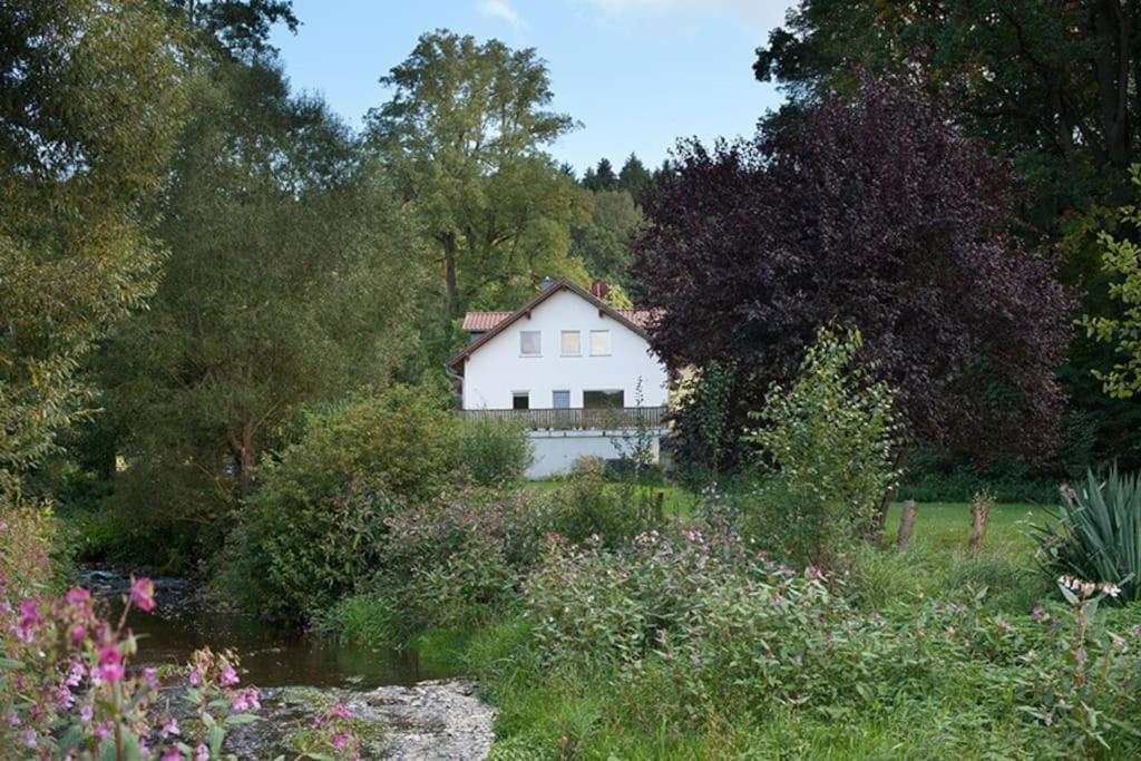 Wald-Apartment Limabach - Oberfrohna Exterior foto